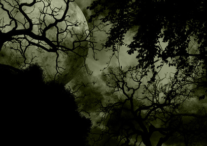 【閲覧注意】心霊体験①海外編