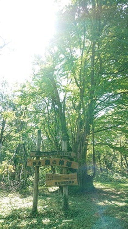 【神様のお話】森の神様からのお話