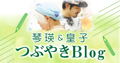琴・皇子のつぶやきブログ