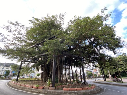 思考の柔軟性の偉大さ！