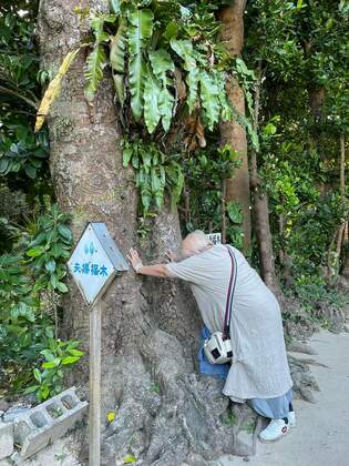 早すぎる気づき