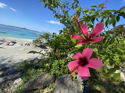 決めるは大事！