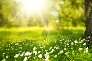 皇子のヒーリング